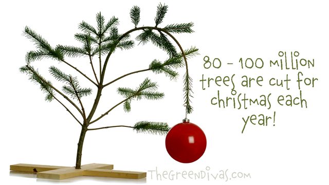 The Green Divas: 80 to 100 million trees are cut for Christmas each year
